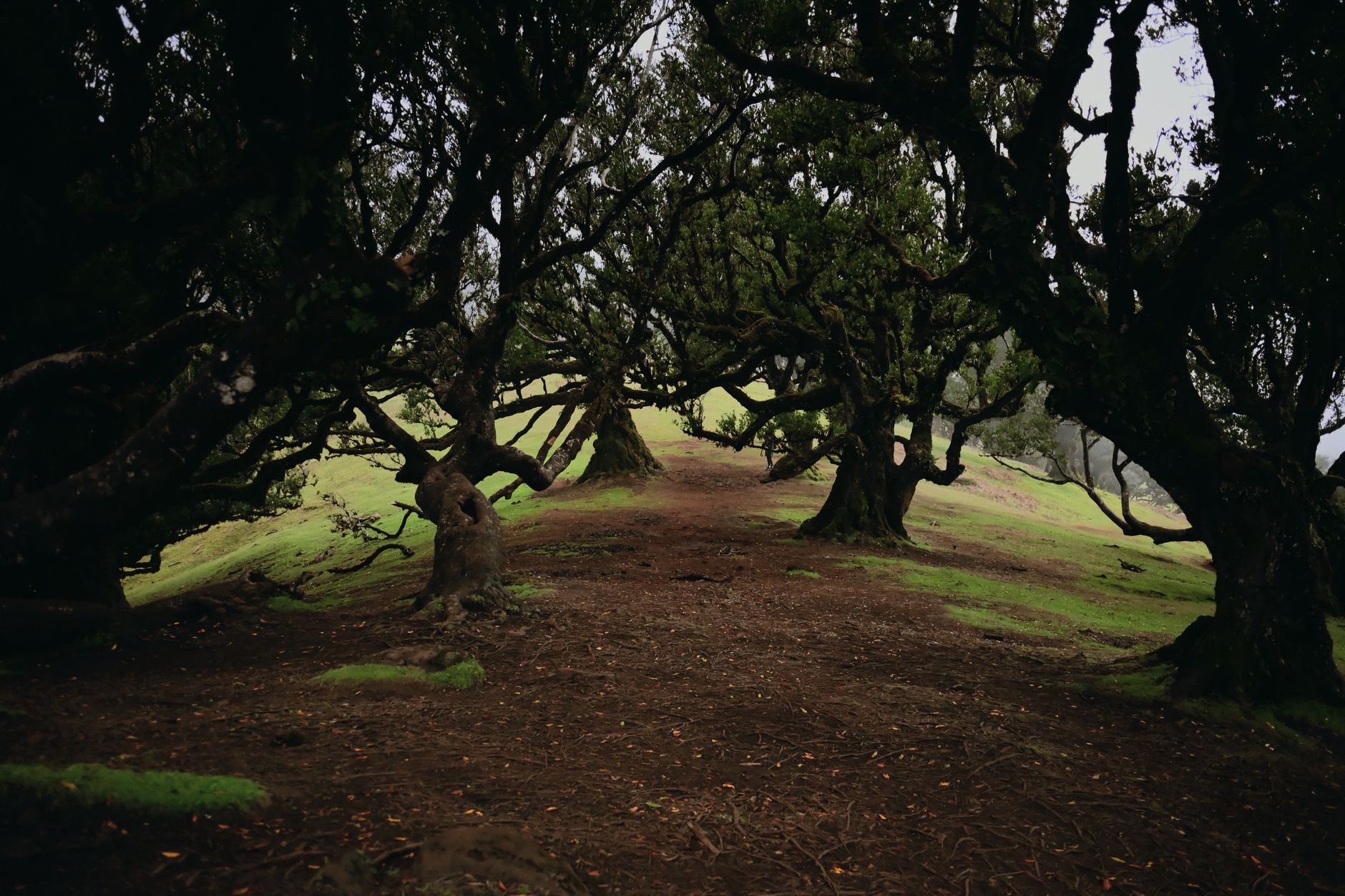 My Real-World Experience Running This in Madeira