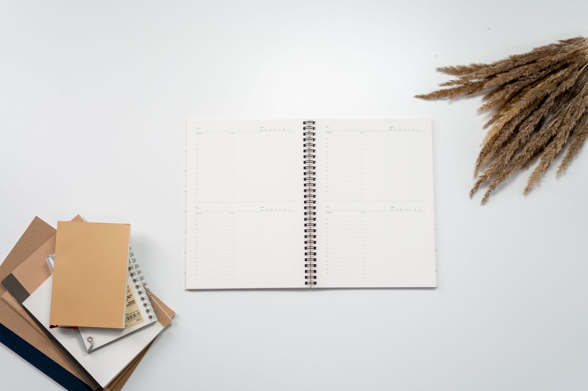 Notion Plus AI vs. Alternatives How It Stacks Up