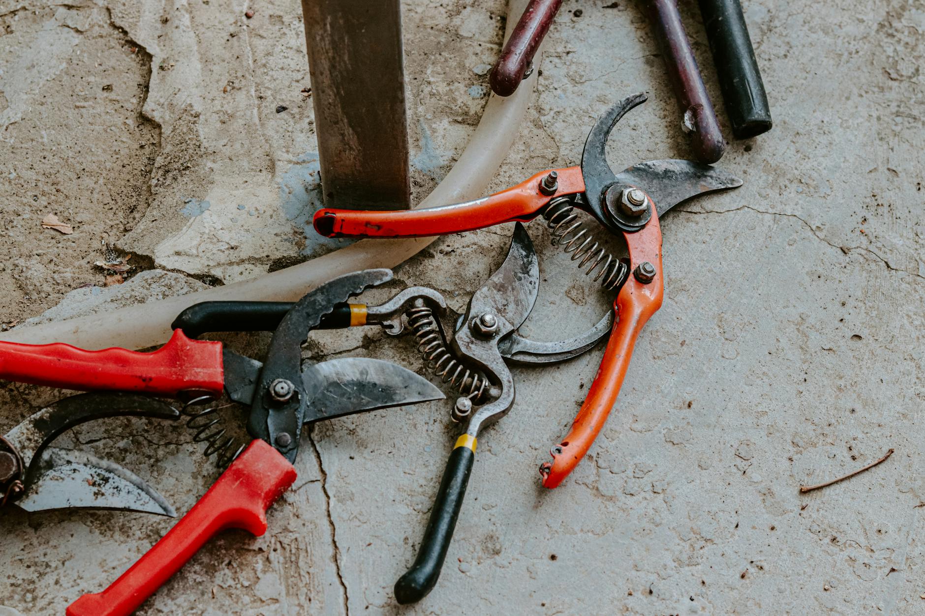 Which Tool Should You Actually Pick